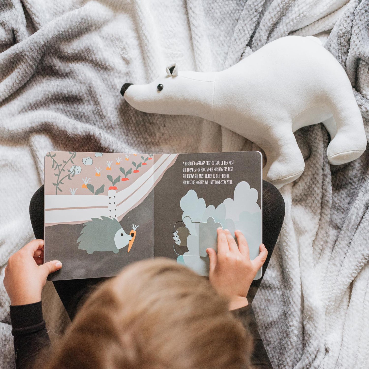 Book & Plush Combo in Camouflaged Critters with Polar Bear (362928)