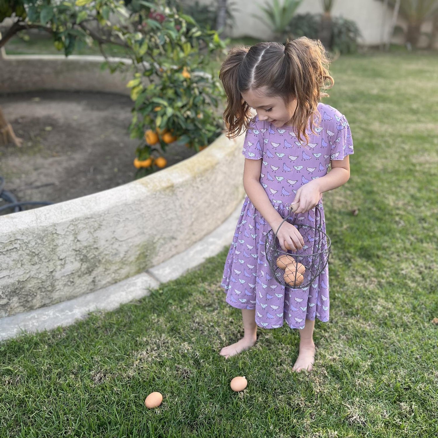 Print Flutter Sleeve Twirl Dress with Pockets in Lavender Chickens (314520)