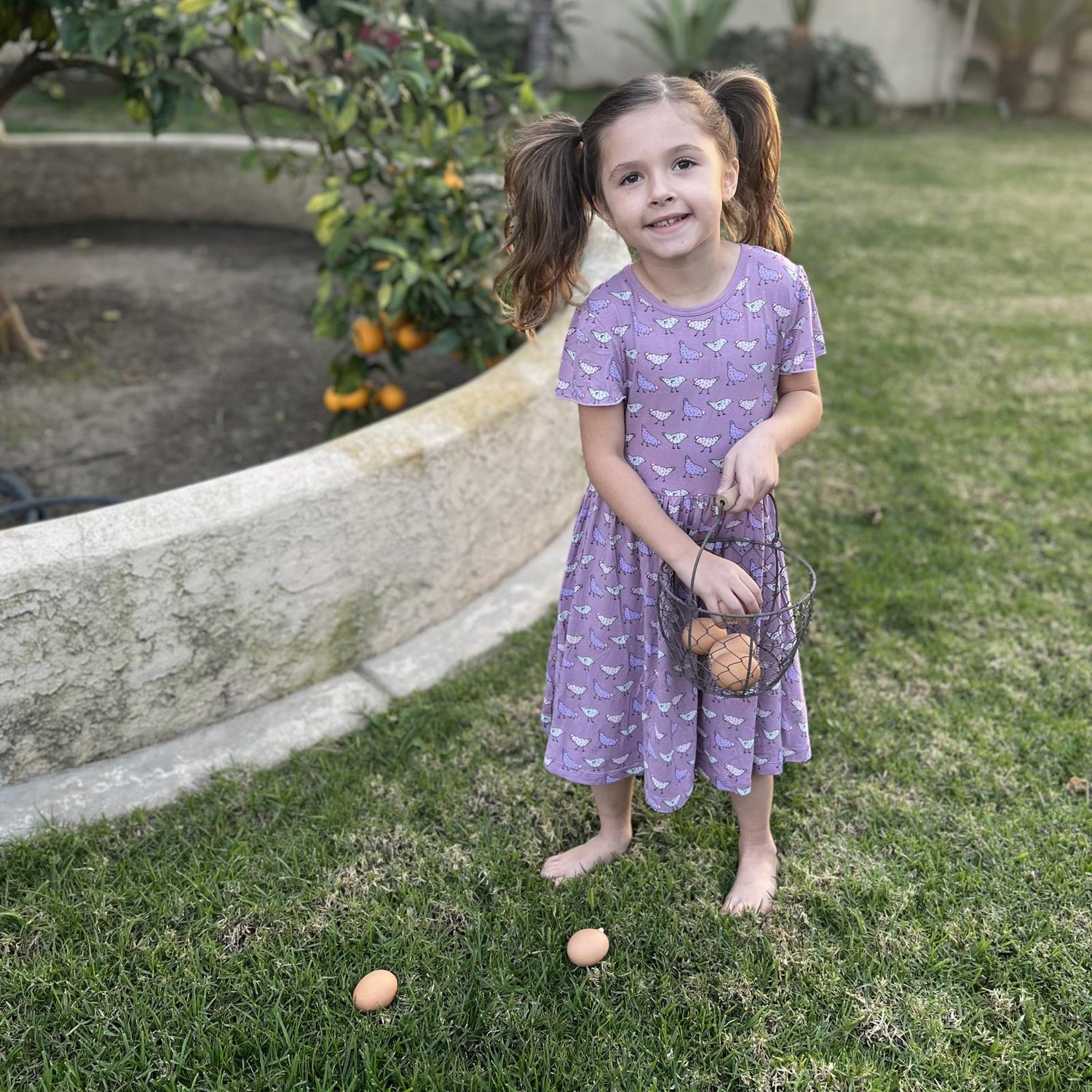 Print Flutter Sleeve Twirl Dress with Pockets in Lavender Chickens (359414)