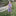 Print Flutter Sleeve Twirl Dress with Pockets in Lavender Chickens (359414)