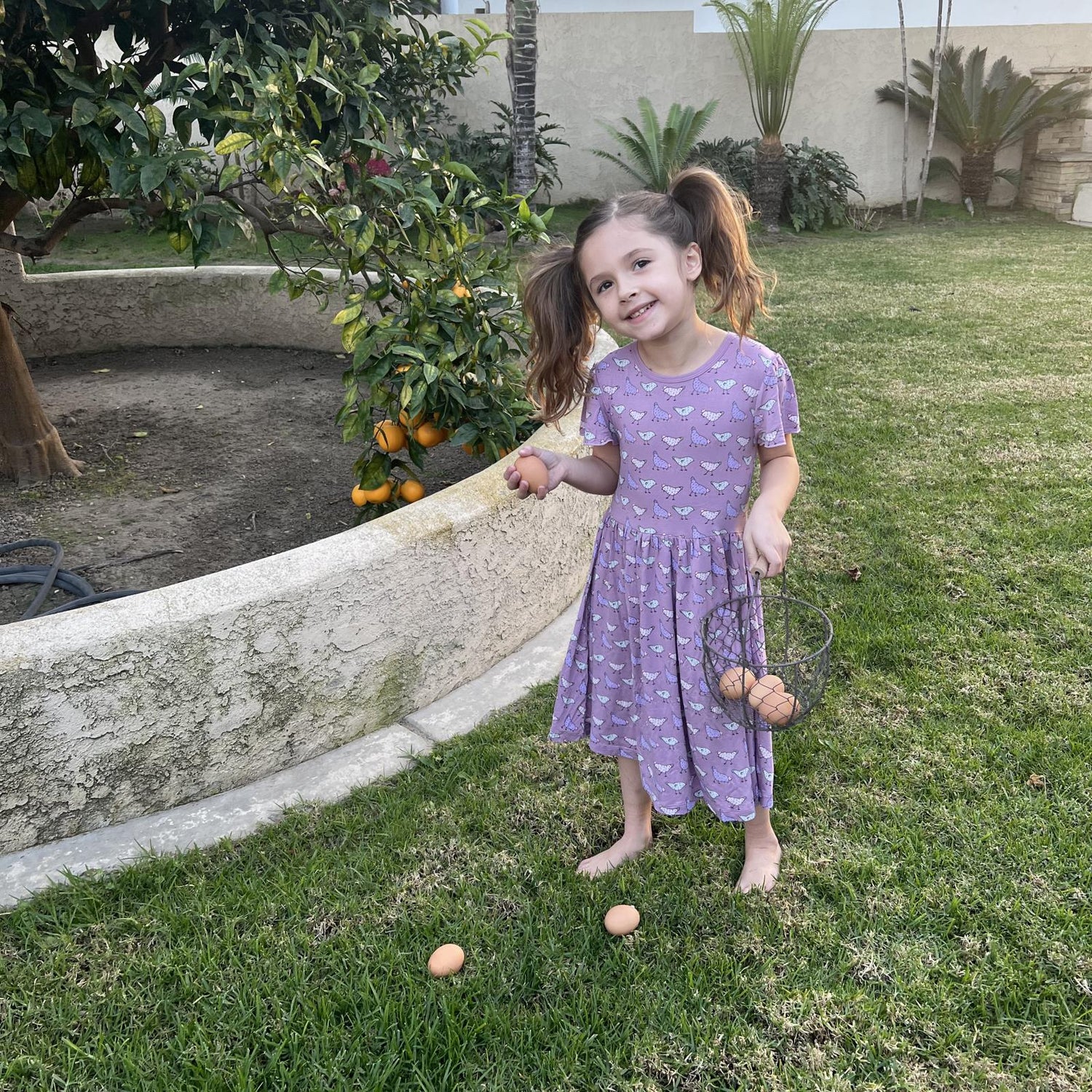 Print Flutter Sleeve Twirl Dress with Pockets in Lavender Chickens (359416)