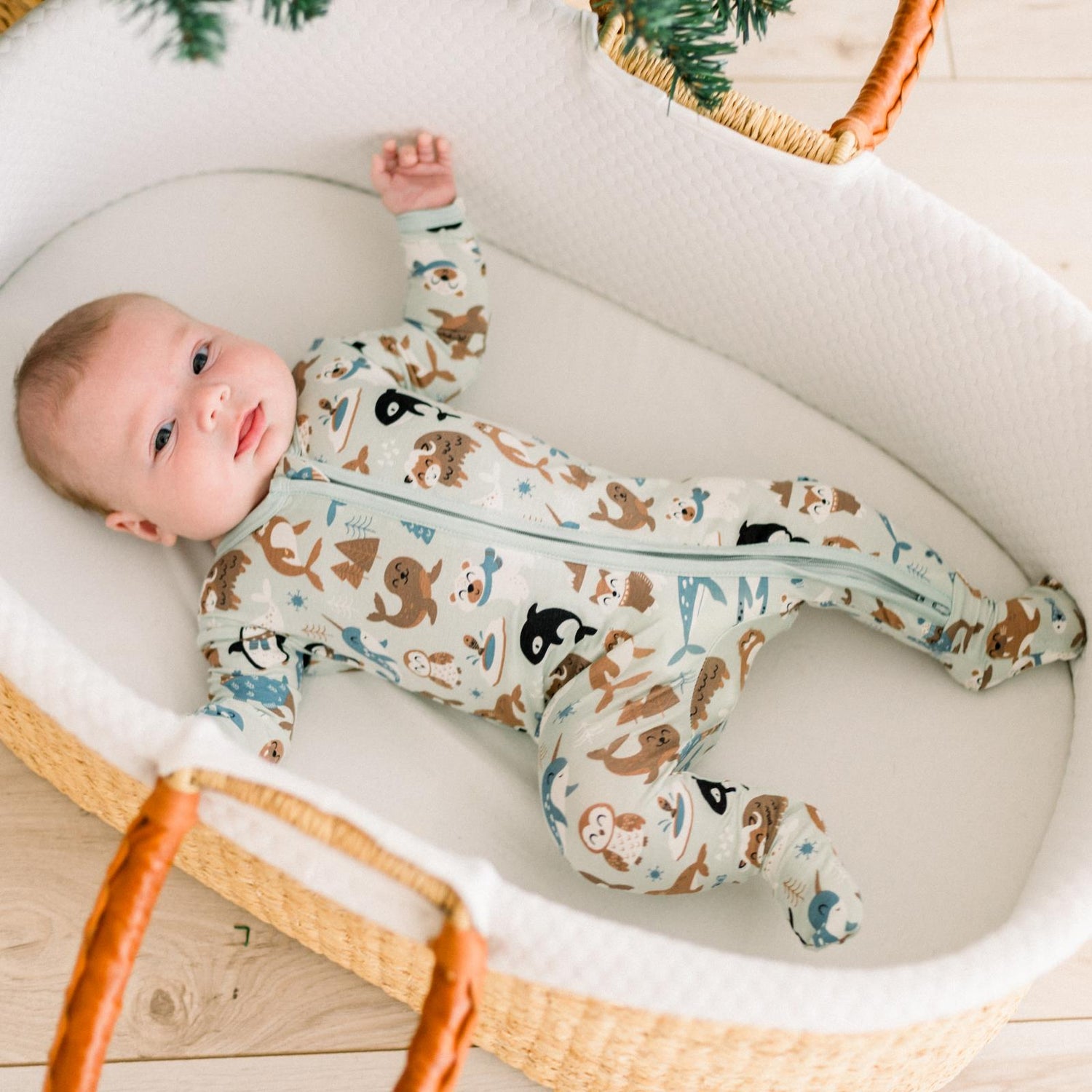 Print Footie with 2 Way Zipper in Aloe Arctic Animals (345011)