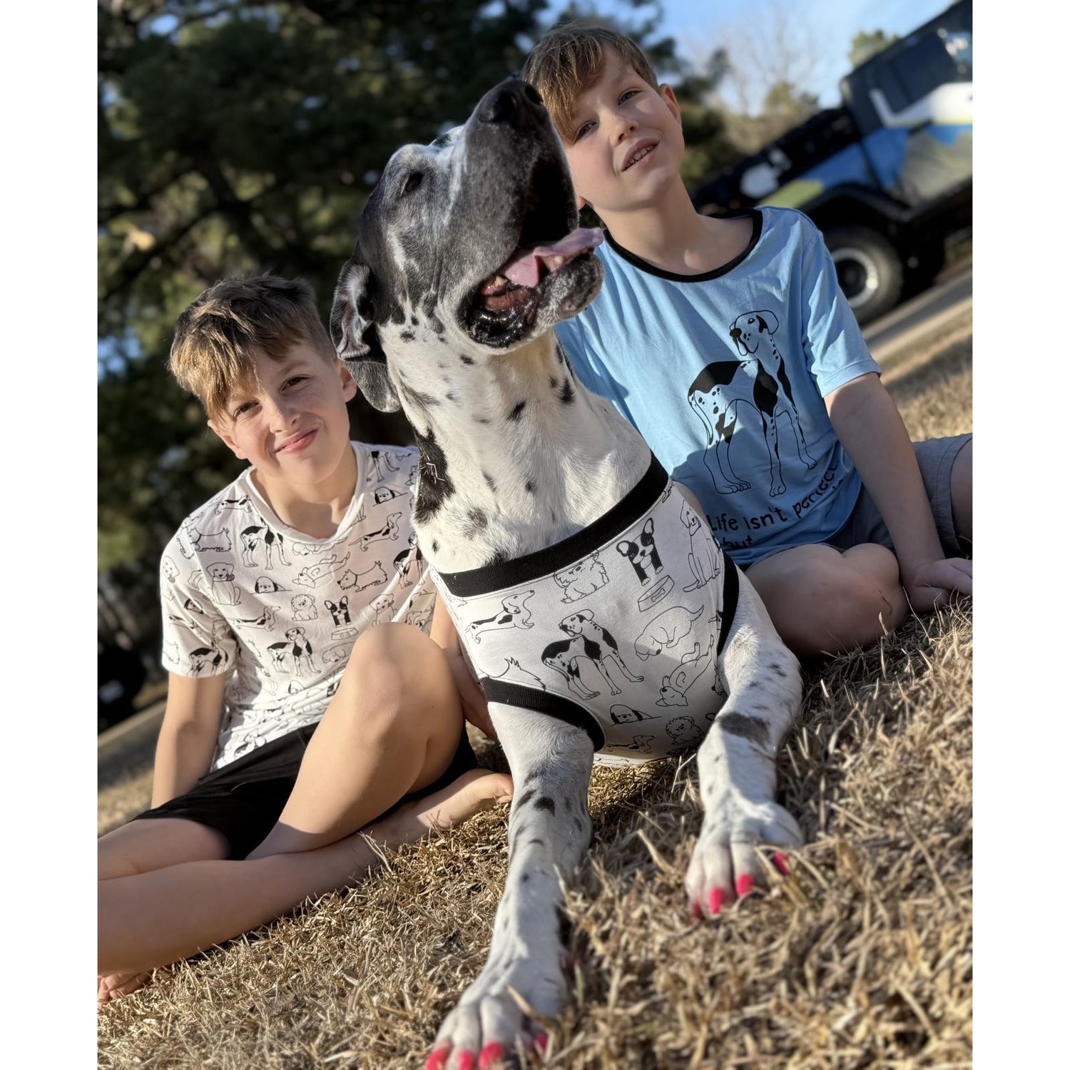 Print Short Sleeve Crew Neck Tee and Lightweight Drawstring Shorts Set in Natural Dogs (359826)