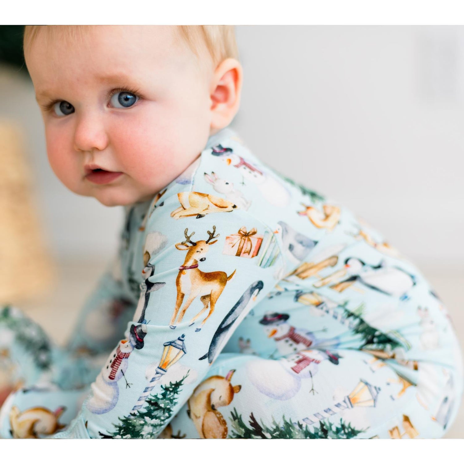 Print Footie with 2 Way Zipper in Spring Sky Winter Woodland (366124)