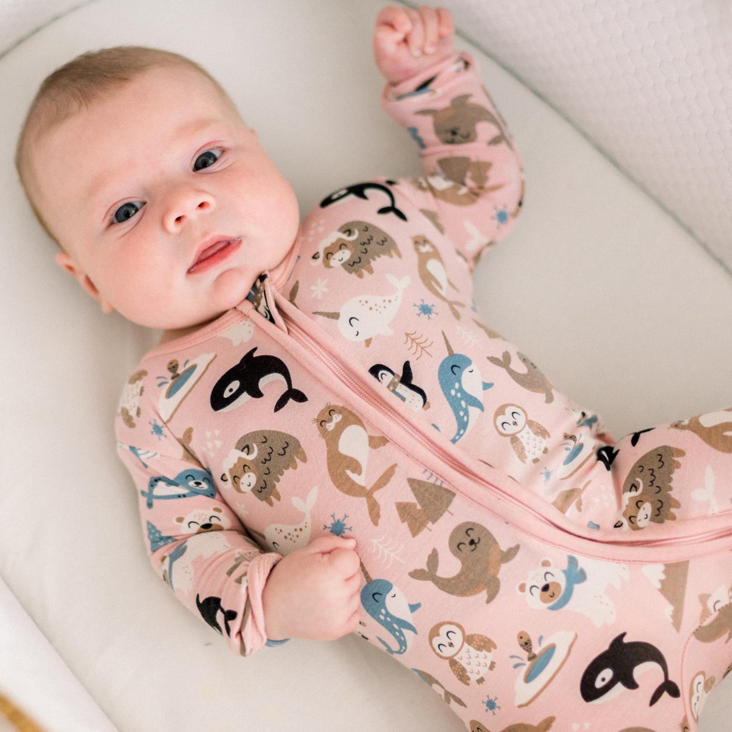 Print Footie with 2 Way Zipper in Baby Rose Arctic Animals (366281)