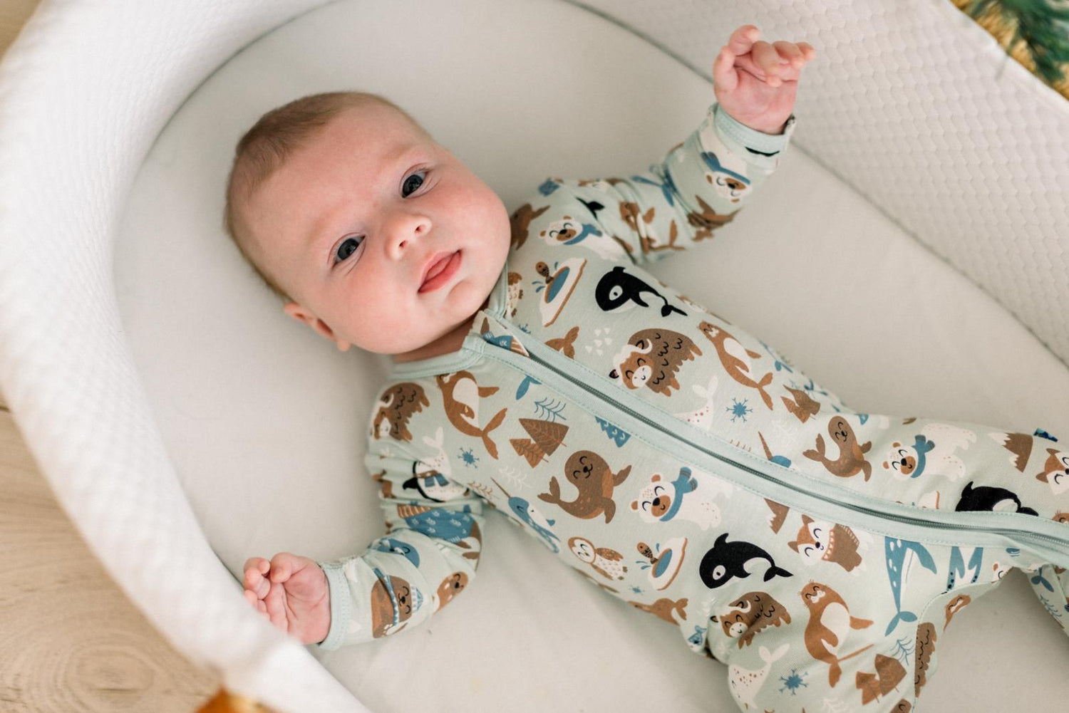 Print Footie with 2 Way Zipper in Aloe Arctic Animals (366455)