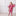 Print Long Sleeve Henley Pajama Set in Winter Rose Polar Bears