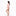 Women's Print Classic Thong in Peach Blossom Lace