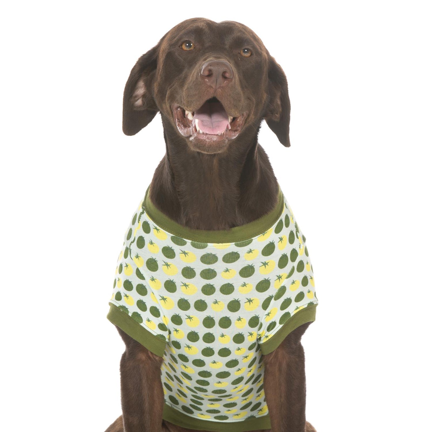 Print Dog Jammies in Aloe Tomatoes
