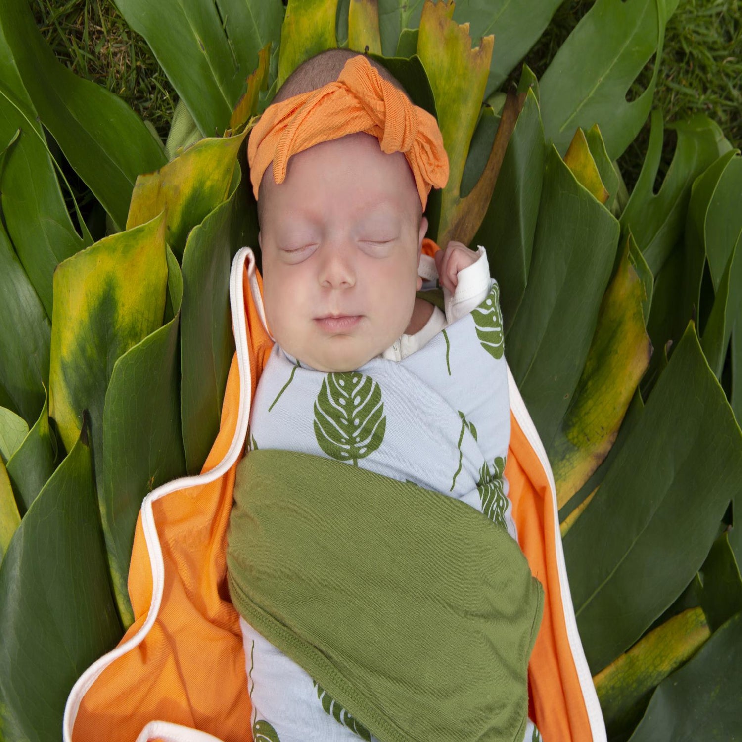 Bow Headband in Nectarine (109162)