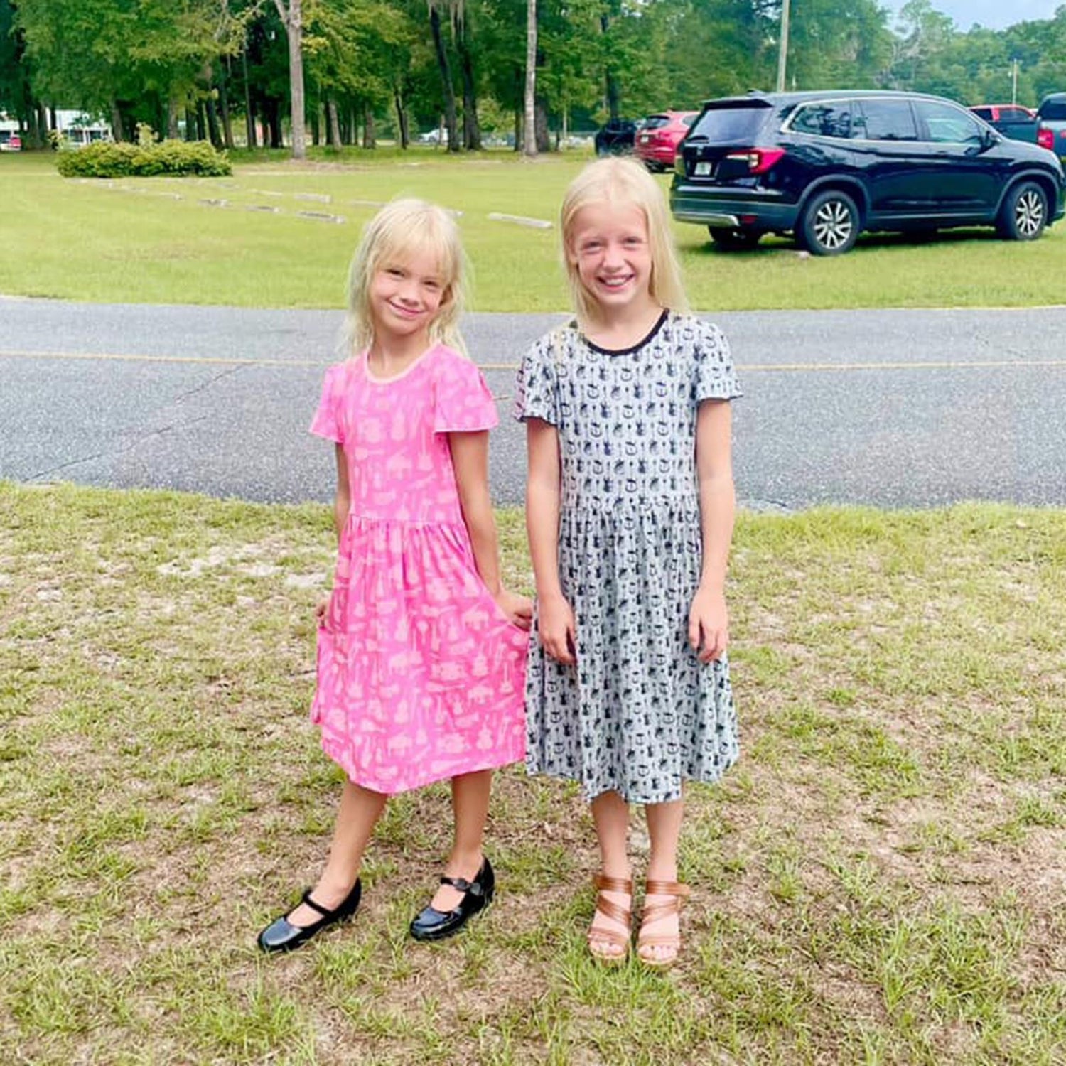 Print Flutter Sleeve Twirl Dress with Pockets in Flamingo Jazz Band (341012)