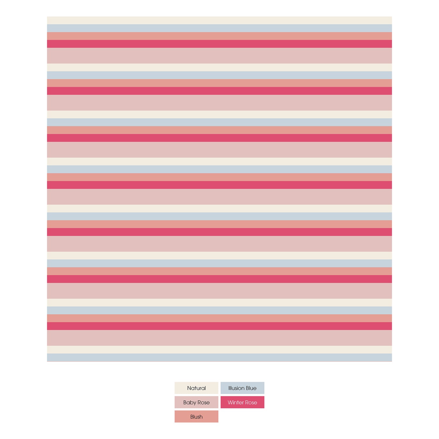 Women's Print Classic Thong in Baby Rose Stripe