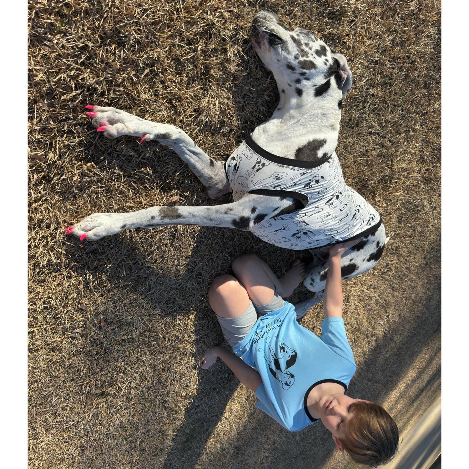 Short Sleeve Crew Neck Graphic Tee in Seaside Blue Perfect Dog (361296)