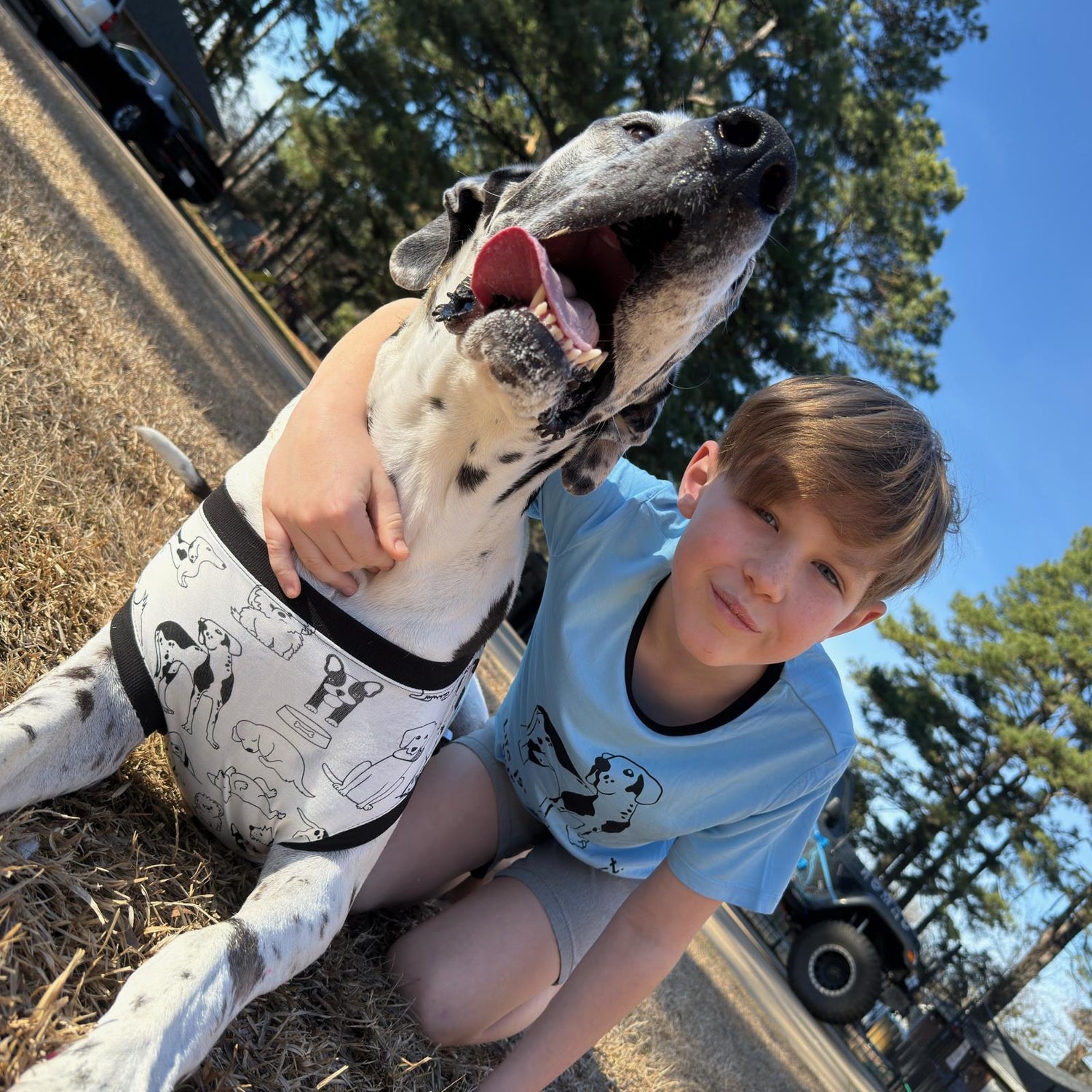 Short Sleeve Crew Neck Graphic Tee in Seaside Blue Perfect Dog (361298)