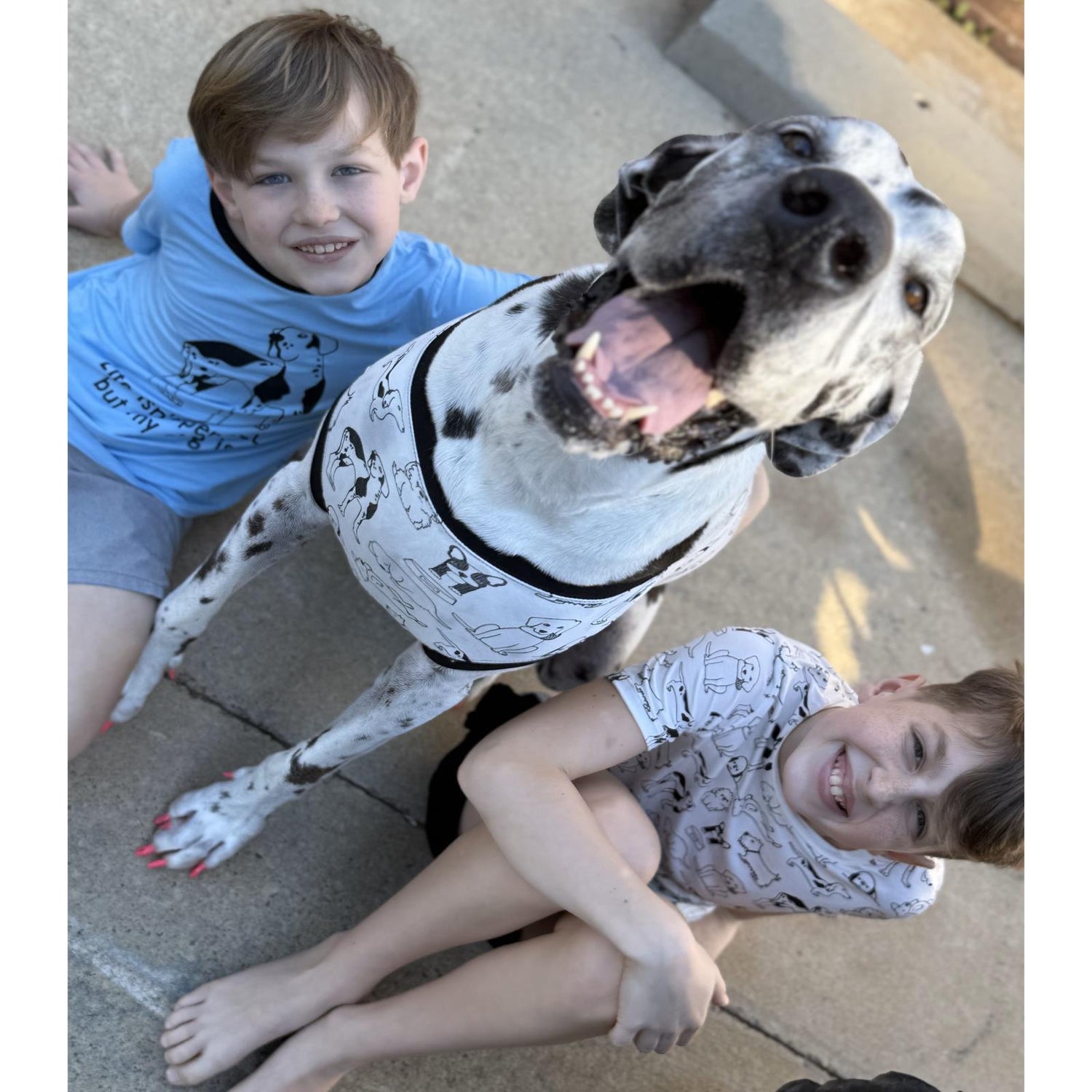 Print Short Sleeve Crew Neck Tee and Lightweight Drawstring Shorts Set in Natural Dogs (361305)