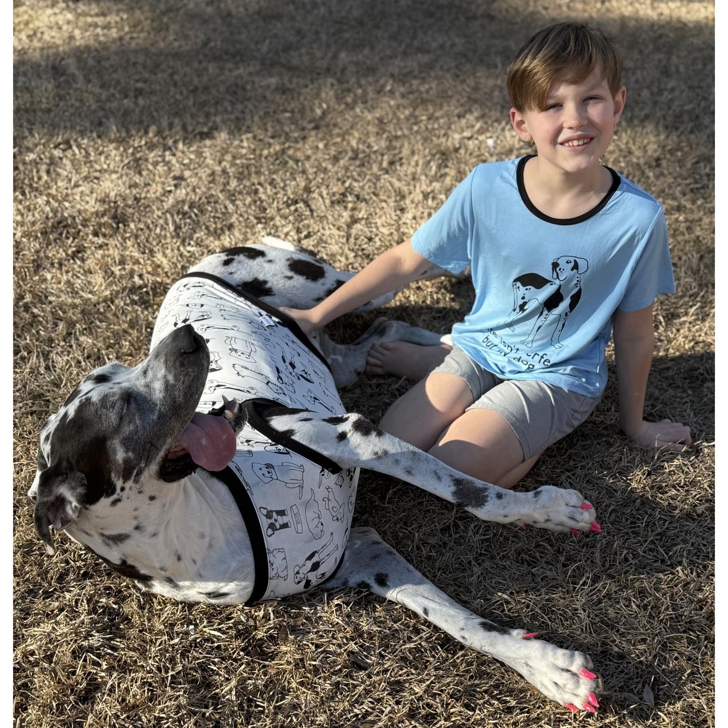 Short Sleeve Crew Neck Graphic Tee in Seaside Blue Perfect Dog (361301)