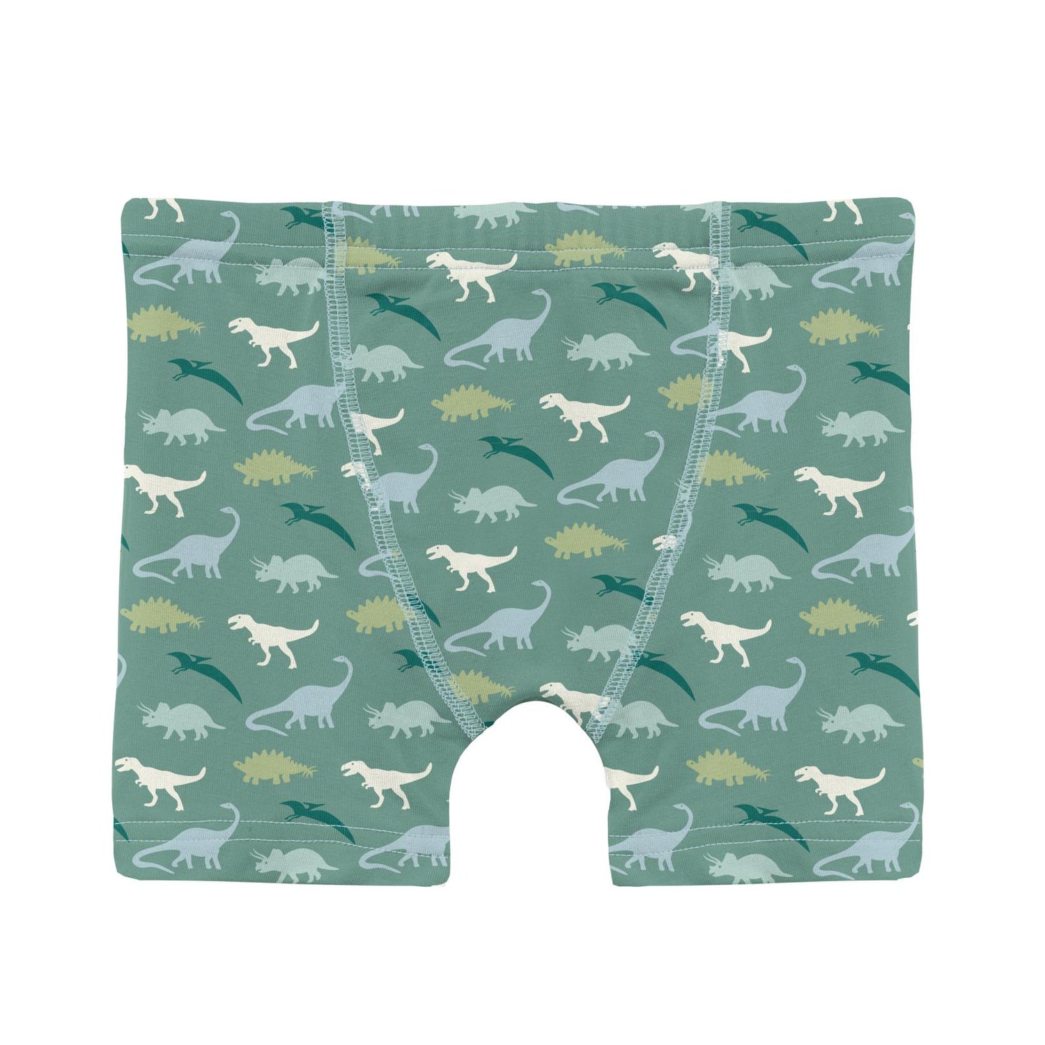 Print Boy's Boxer Brief in Shore Tiny Dino (357820)