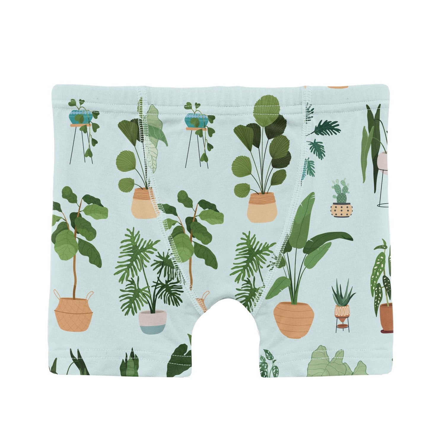 Print Boy's Boxer Brief in Fresh Air House Plants (313821)