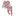 Print Long Sleeve Pajama Set in Blush Enchanted Floral
