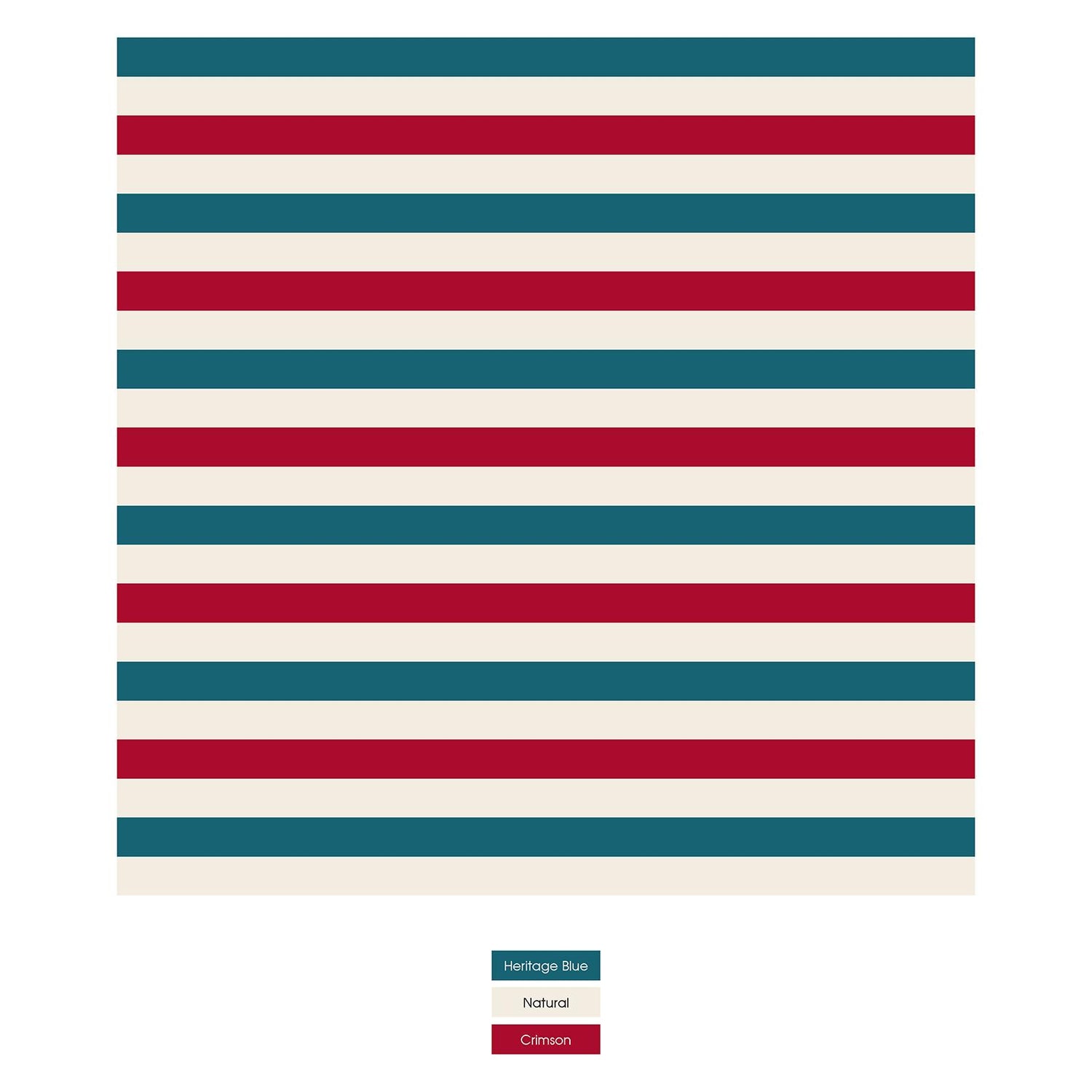 Women's Print Classic Brief in USA Stripe