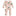 Print Coverall with 2 Way Zipper in Latte Camping Animals (319392)