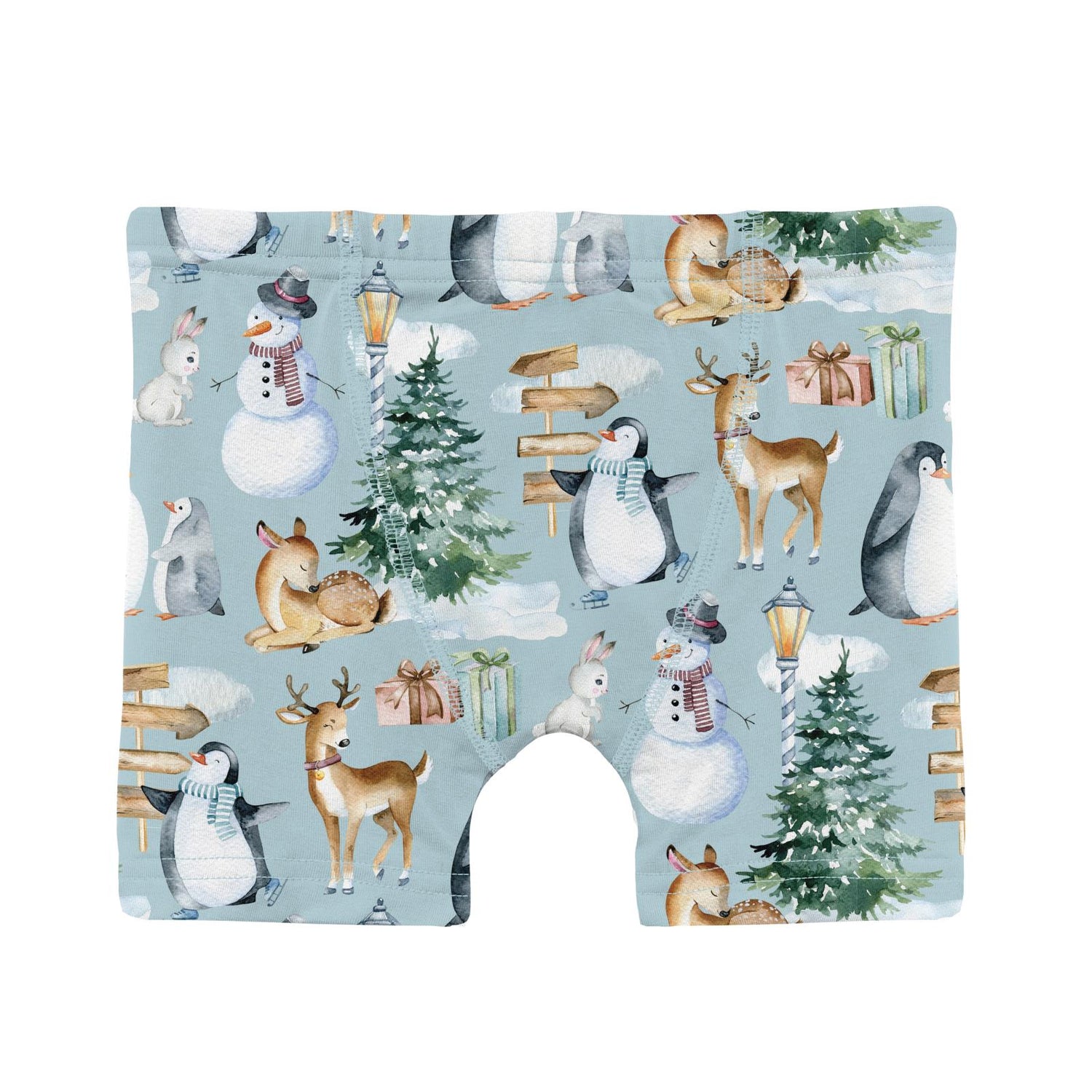 Print Boy's Boxer Brief in Spring Sky Winter Woodland (346478)