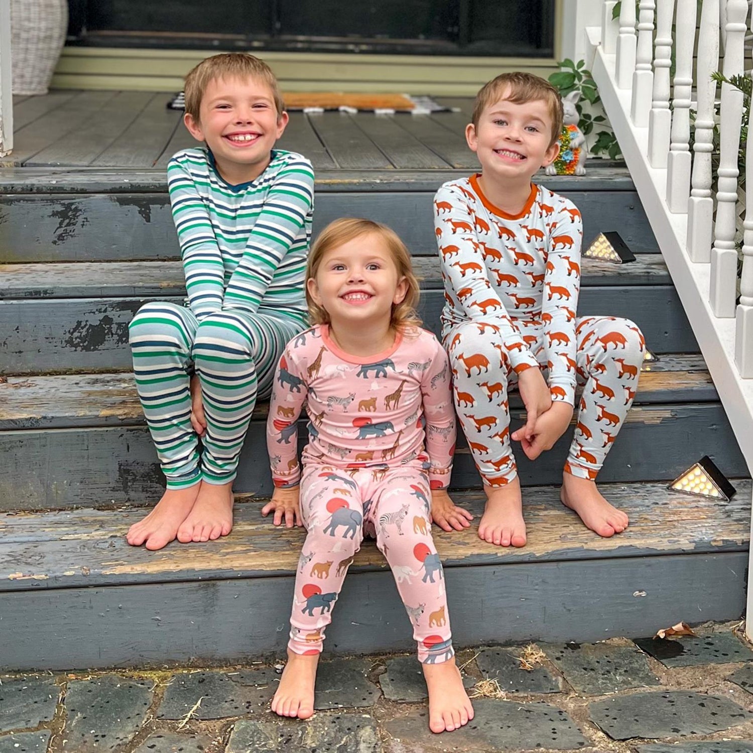 Print Long Sleeve Pajama Set in Illusion Blue Fox & The Crow (356236)