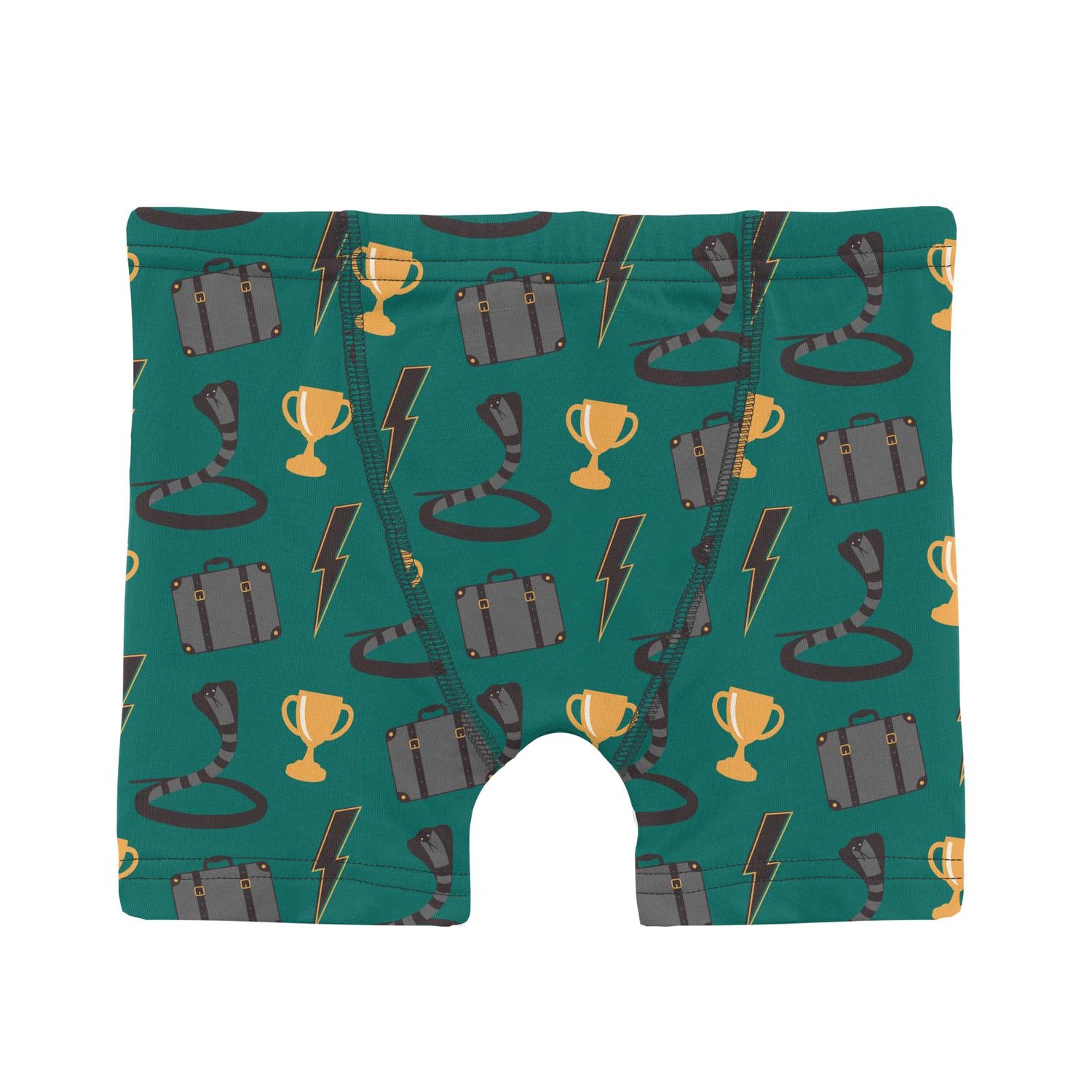 Print Boy's Boxer Brief in Ivy Magic (324691)