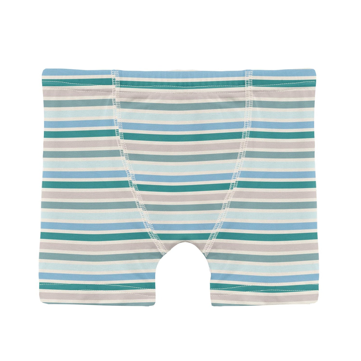 Print Boy's Boxer Brief in Lakeside Stripe (338021)
