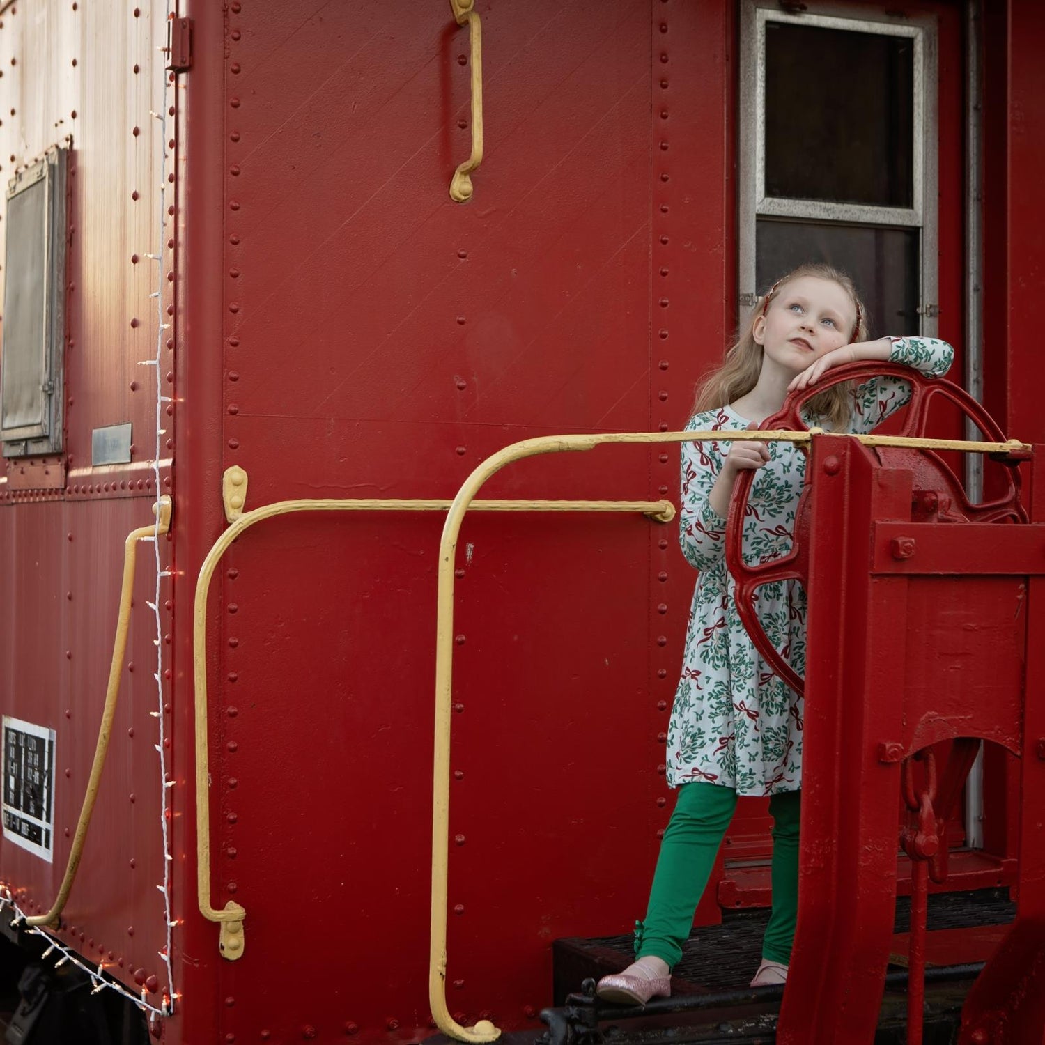 Print Long Sleeve Twirl Dress with Pockets in Illusion Blue Mistletoe & Ribbons (341095)