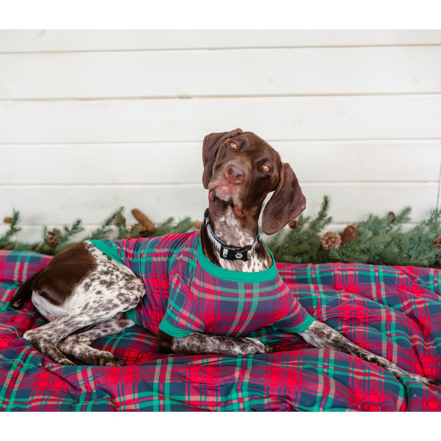 Print Fluffle Throw Blanket with Embroidery in Peacock Plaid (341126)