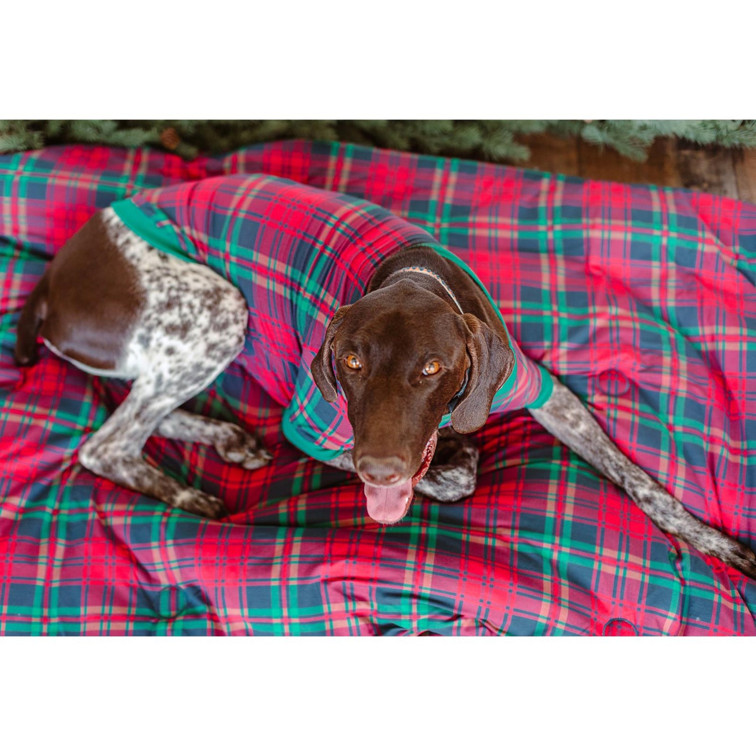Print Fluffle Throw Blanket with Embroidery in Peacock Plaid (341147)