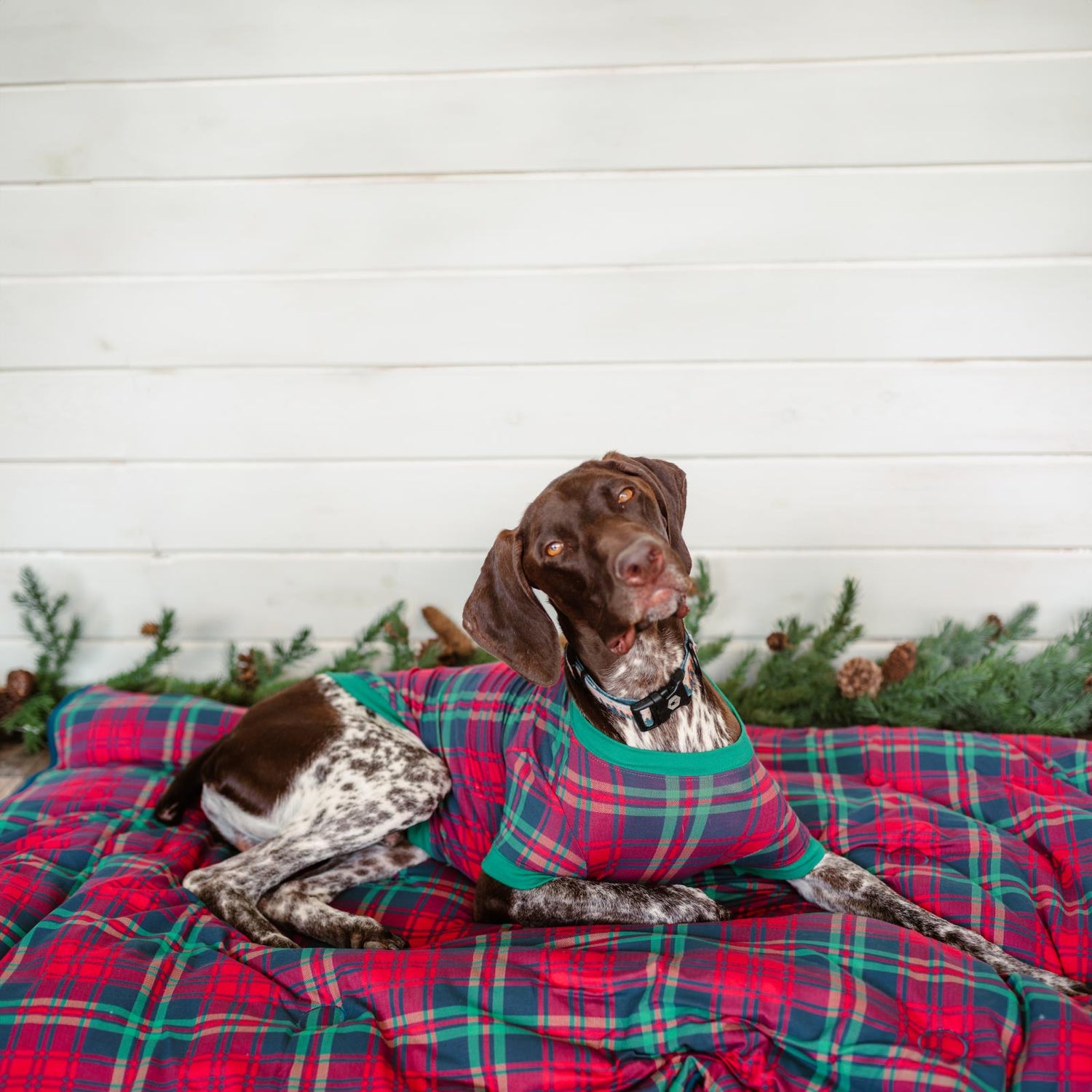 Print Fluffle Throw Blanket with Embroidery in Peacock Plaid (341156)
