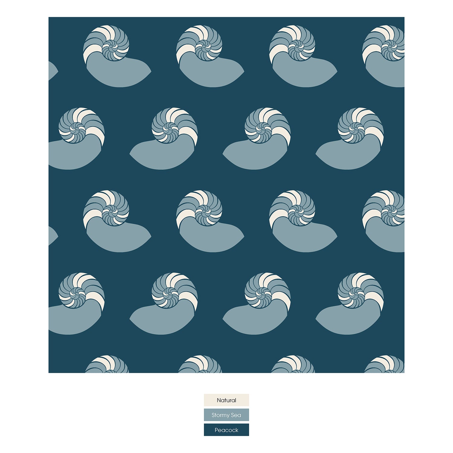 Print Girl's Underwear in Peacock Nautilus (310284)