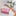 Soft Spun Cotton Jacquard Muslin Blanket 40 x 60 in Fuchsia/Ballet Slipper Butterflies & Blooms (360486)