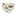 Print Girl's Underwear in Botanical Butterflies (375172)