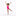 Print One-Piece Bathing Suit in Calypso Flamingos