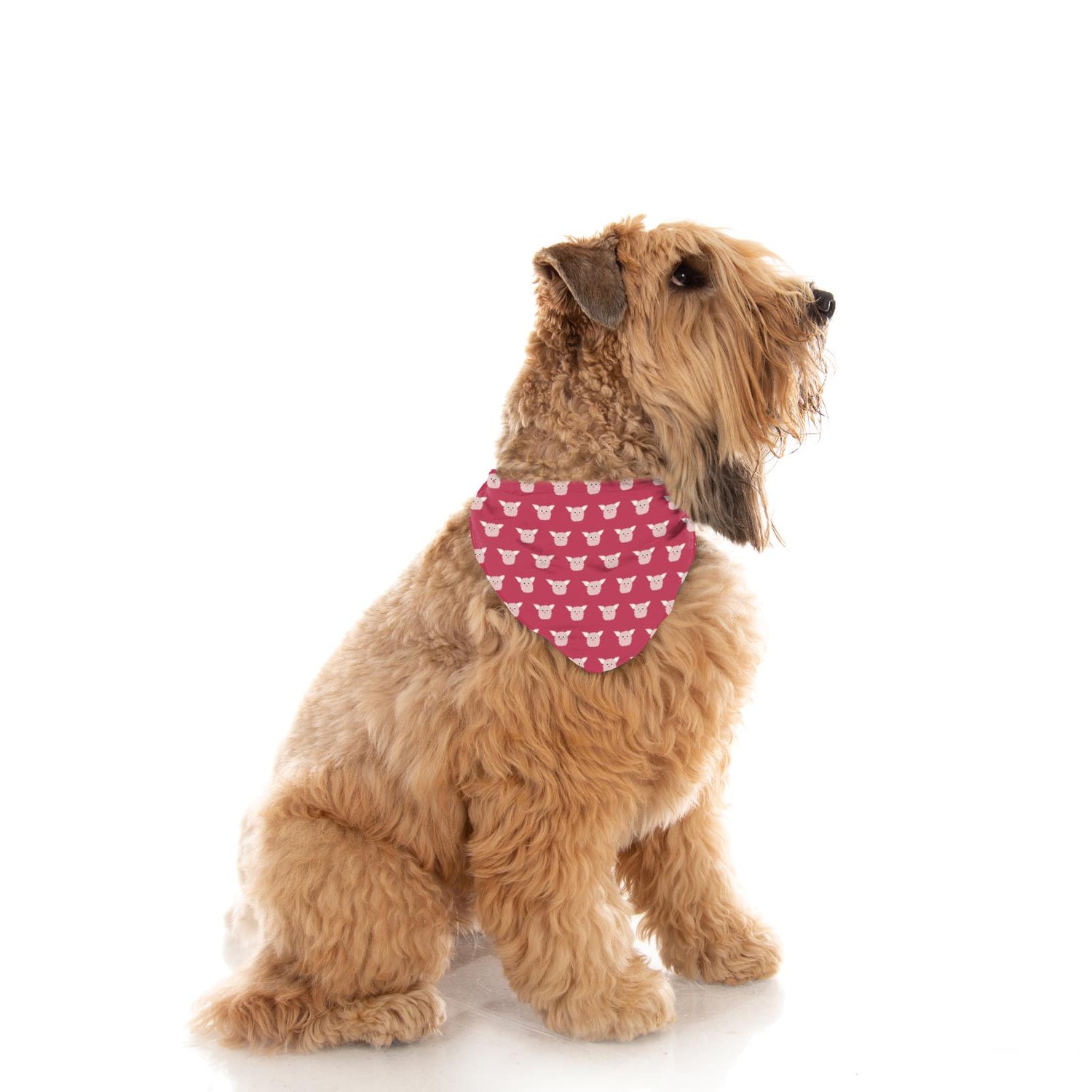 Print Dog Bandana in Cherry Pie Furry Friends