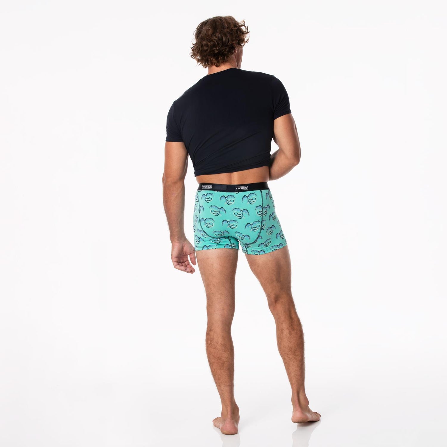 Men's Print Boxer Brief in Glass Phoenix