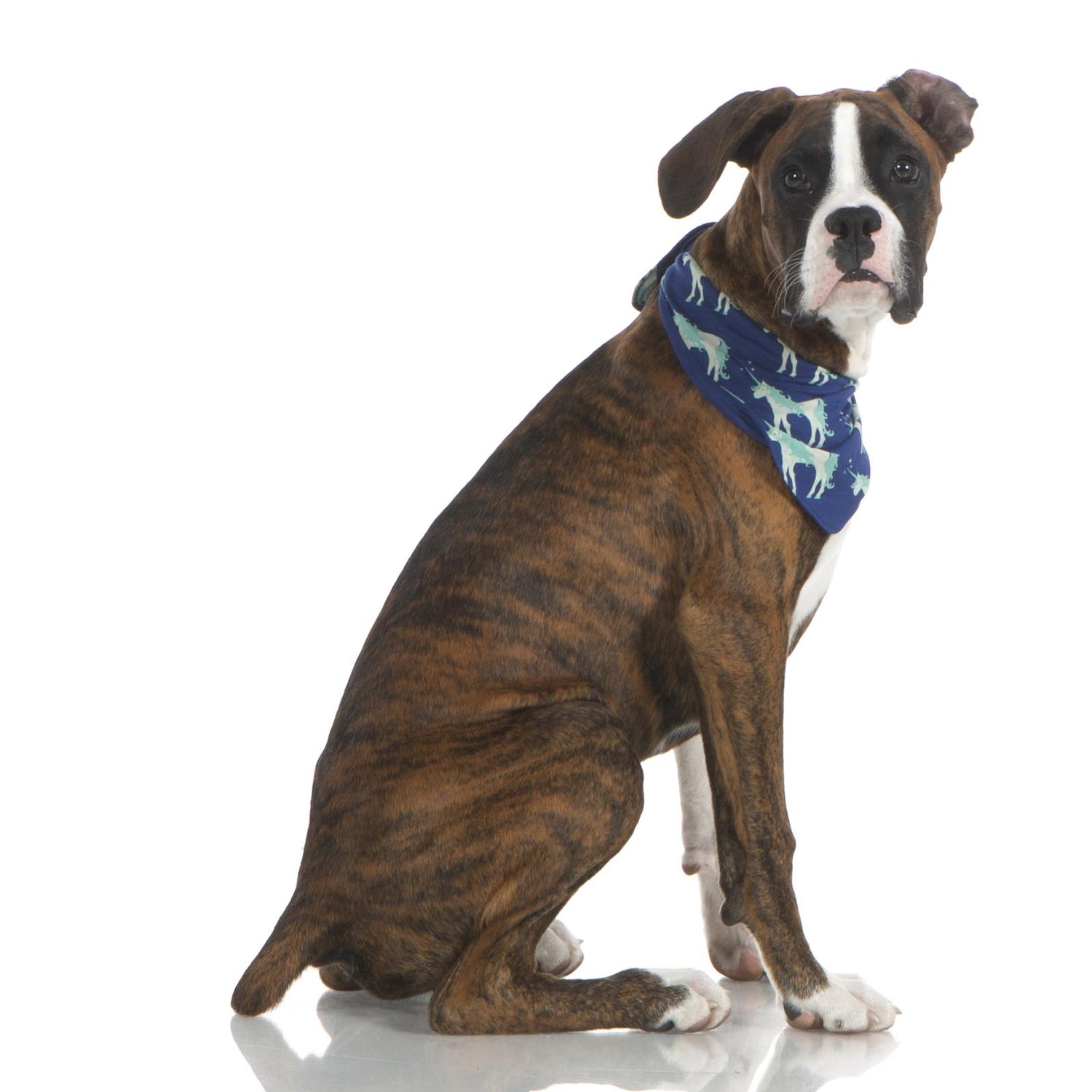 Print Dog Bandana in Flag Blue Unicorns