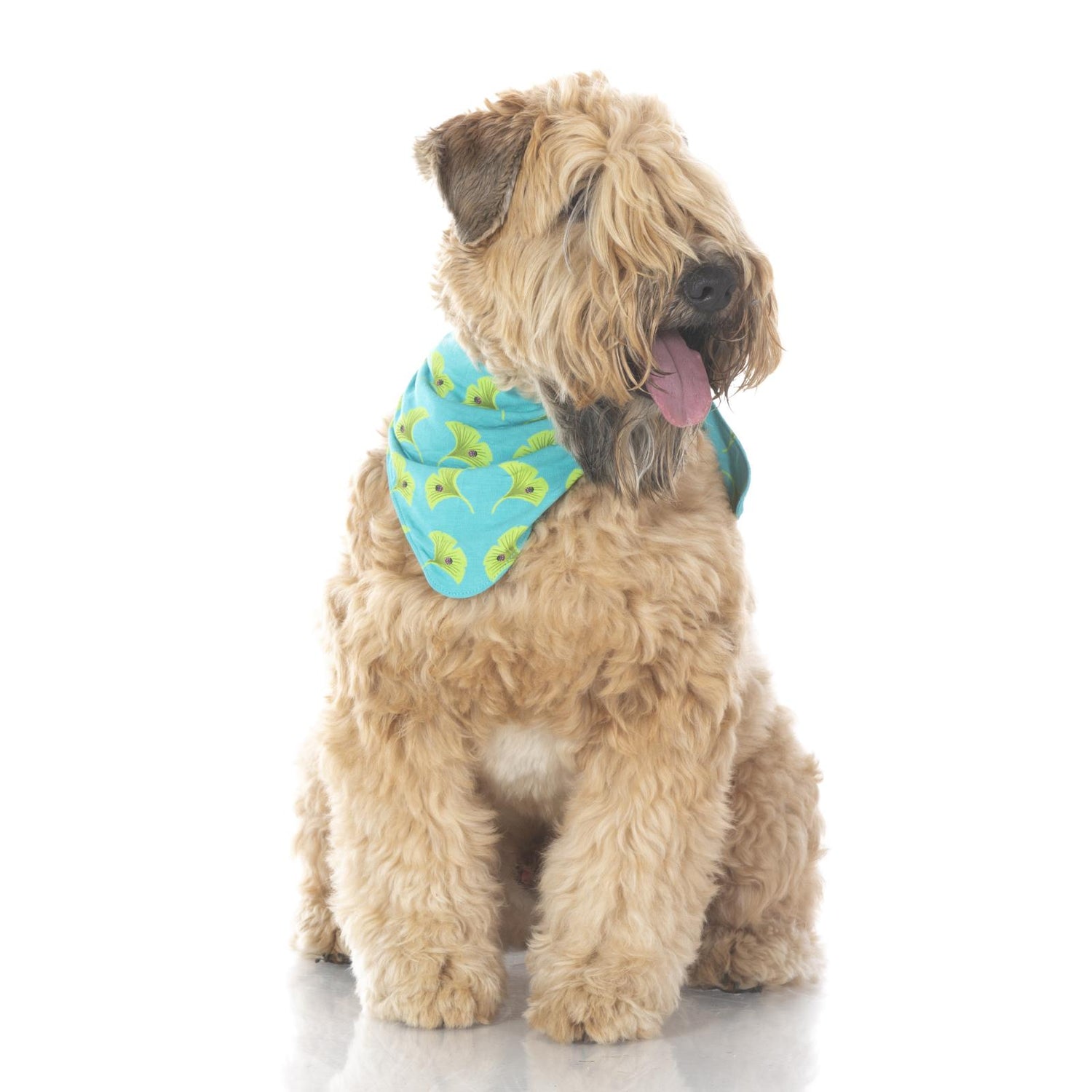 Print Dog Bandana in Neptune Ginkgo
